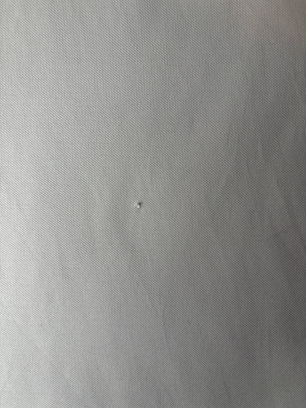 Ralph Lauren Polo Shirt (M)
